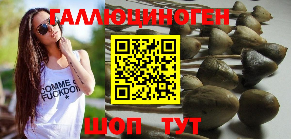 Галлюциногенные грибы GOLDEN TEACHER Усинск